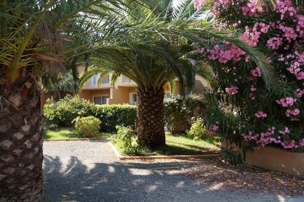 Residence Les Castors Calvi  Exterior foto